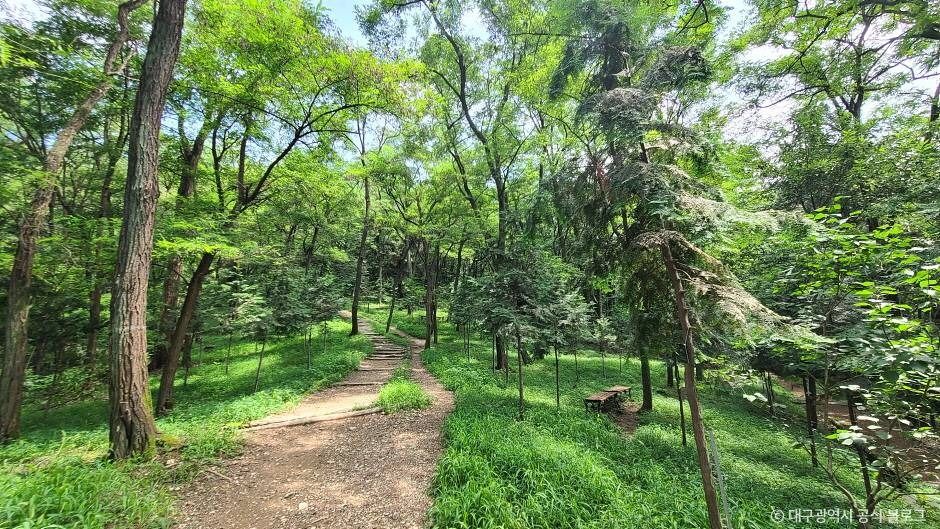 대구_와룡산(대구) (5)