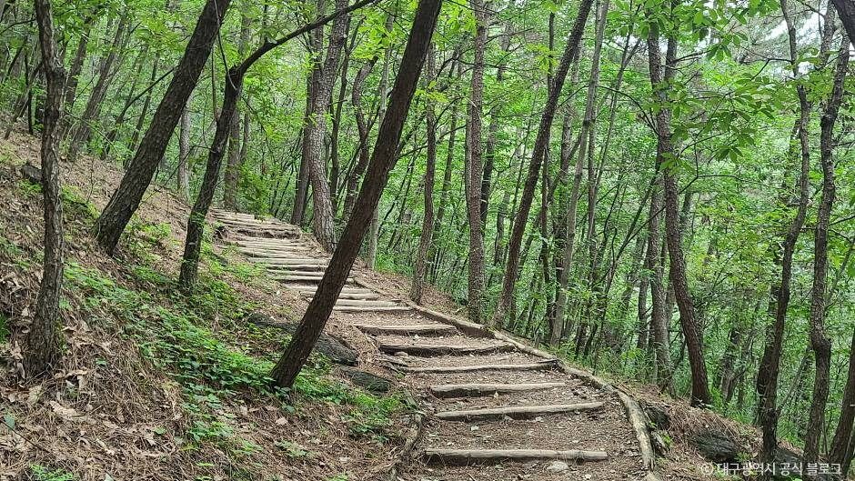 대구_와룡산(대구) (1)