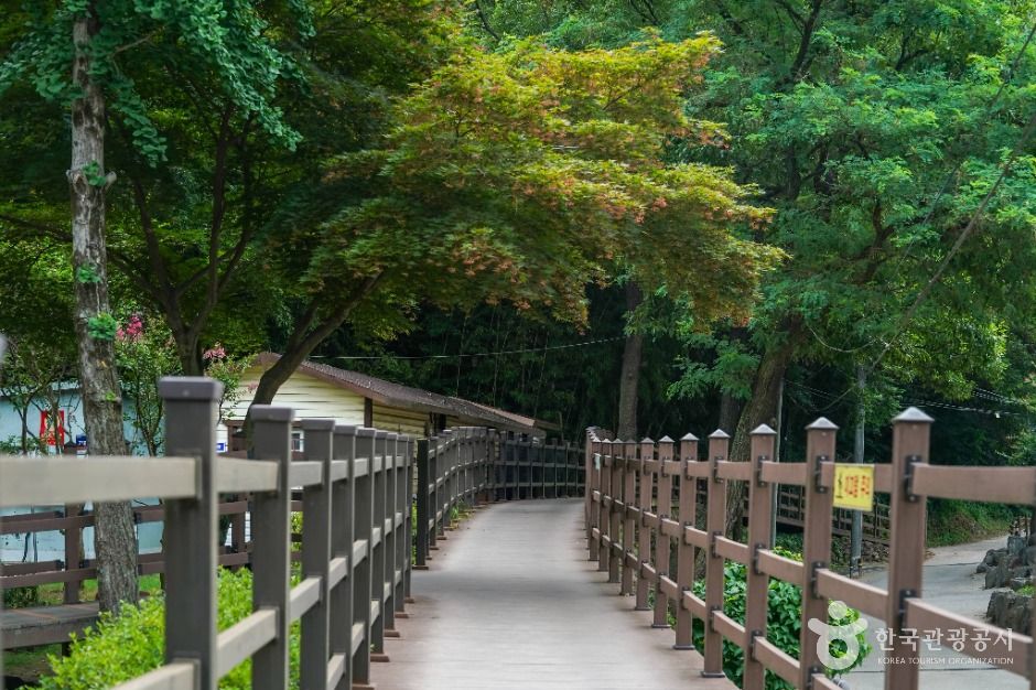 대구_운암지 수변공원 (5)