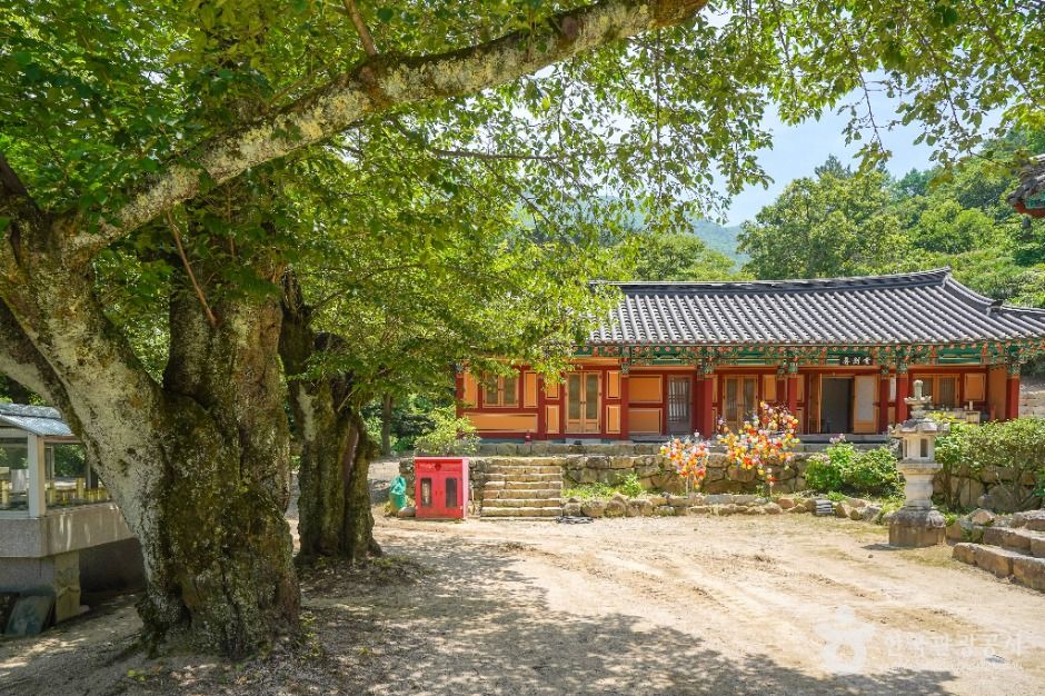 대구_운흥사(대구) (4)