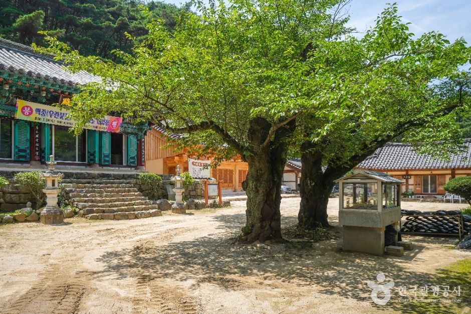 대구_운흥사(대구) (7)