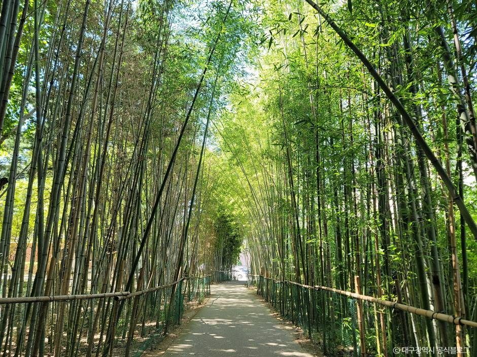 대구_월곡역사공원 (6)