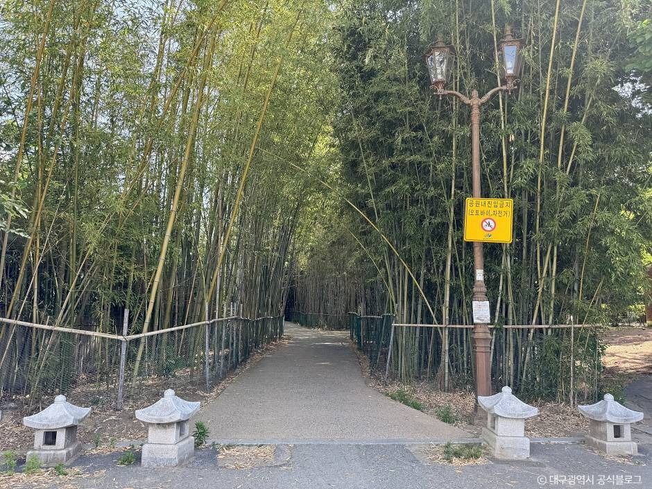 대구_월곡역사공원 (7)