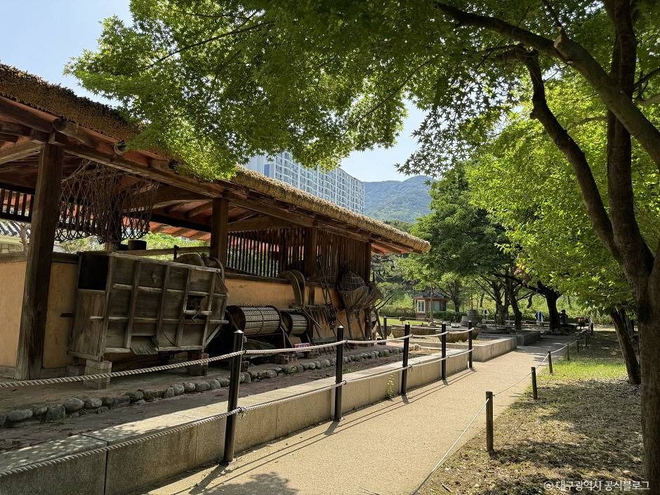 대구_월곡역사공원 (1)