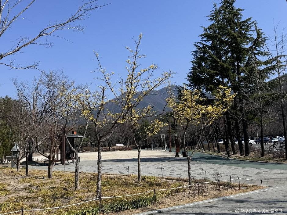 대구_월광수변공원 (1)