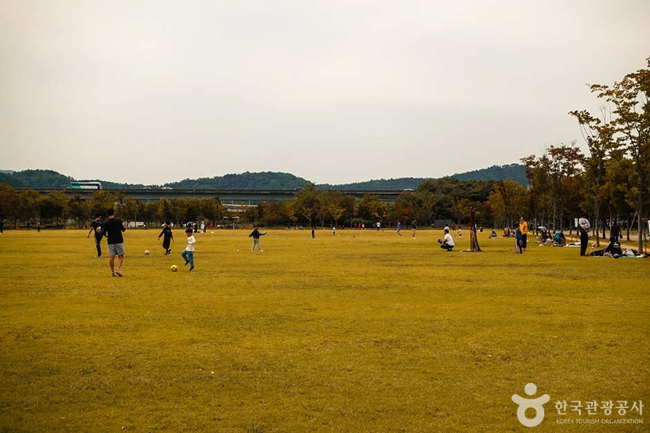 율하체육공원 (5)