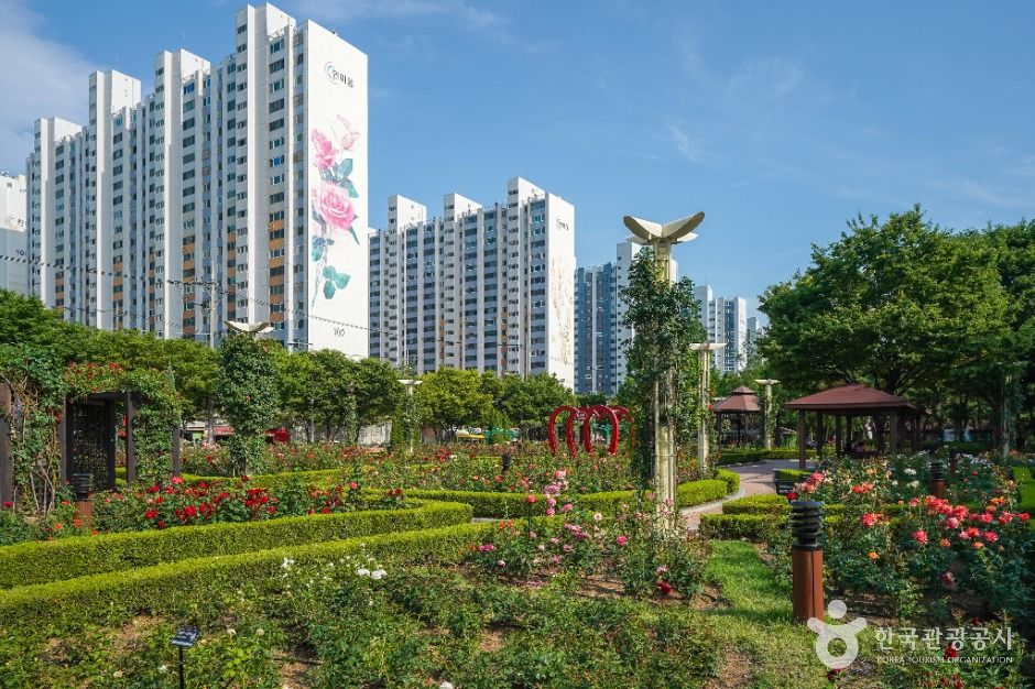 대구_이곡장미공원 (3)