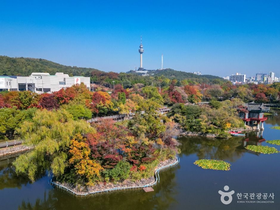 대구_이월드83타워 (3)