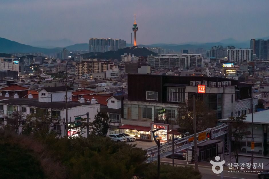 대구_이월드83타워 (4)