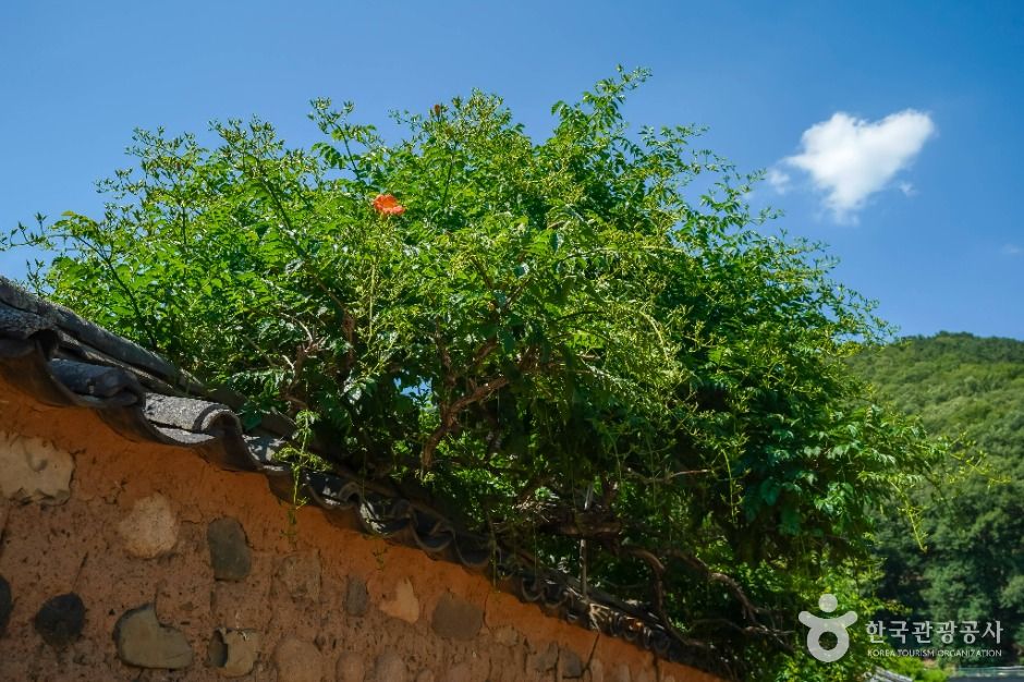 달성_인흥마을 (3)