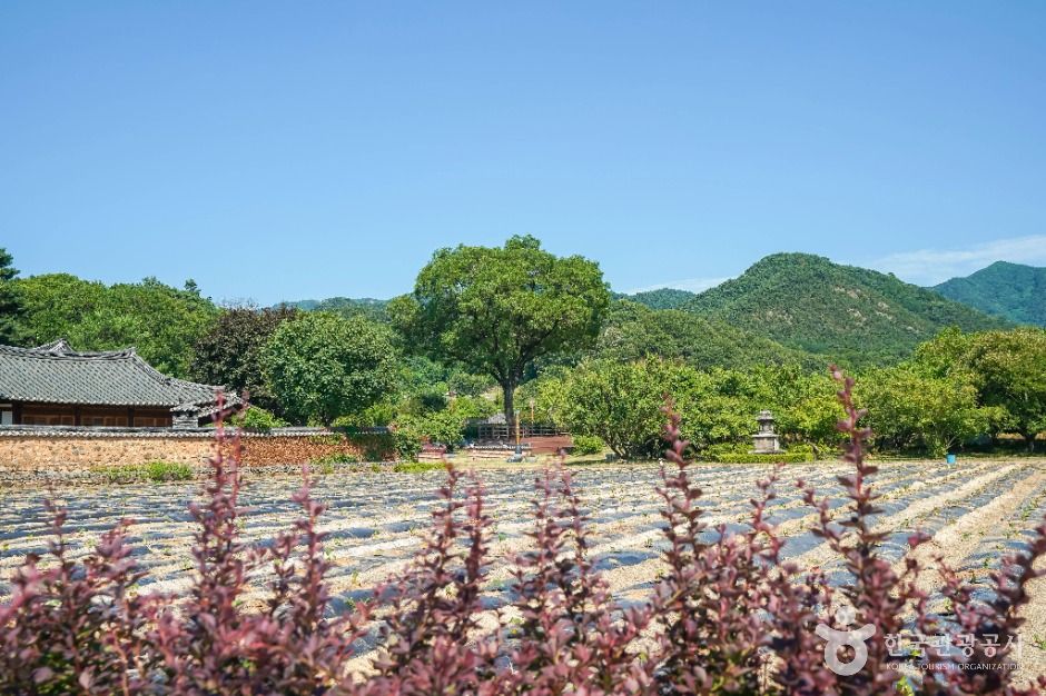 달성_인흥마을 (4)