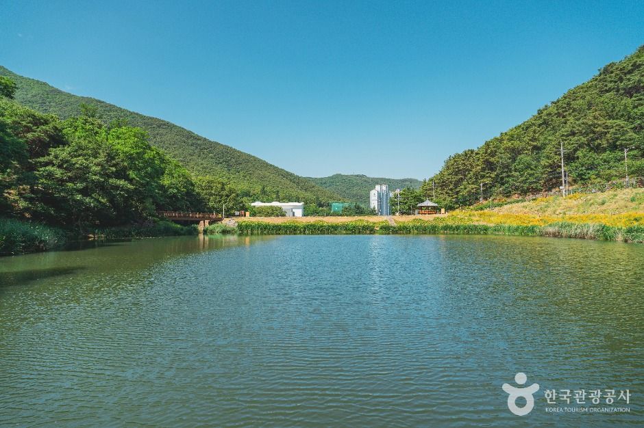 대구_진밭골산림공원 (4)