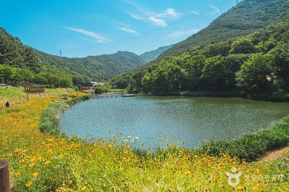 대구_진밭골산림공원 (1)