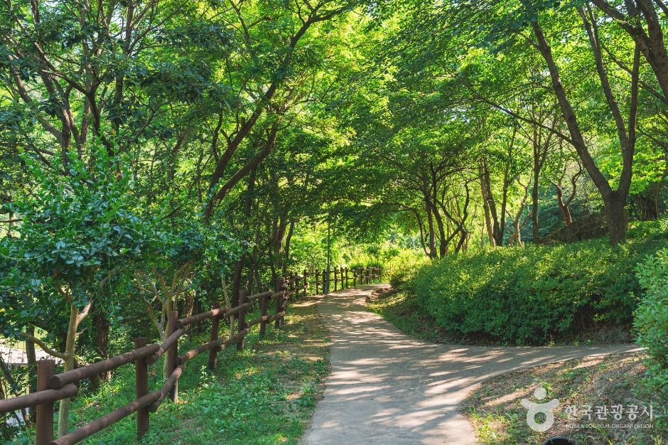 대구_진밭골산림공원 (2)