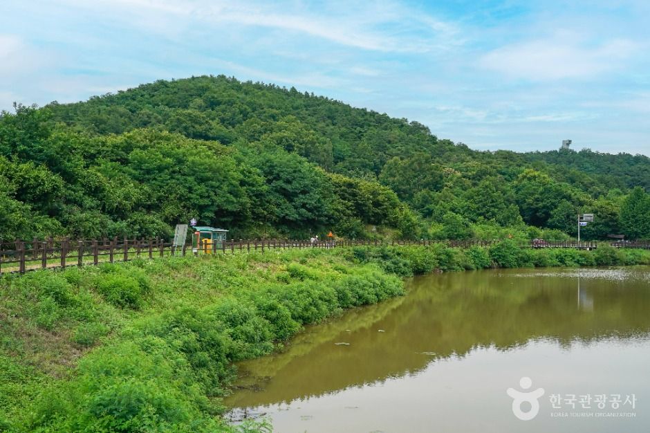 대구_창평지 친환경 생태공원 (2)