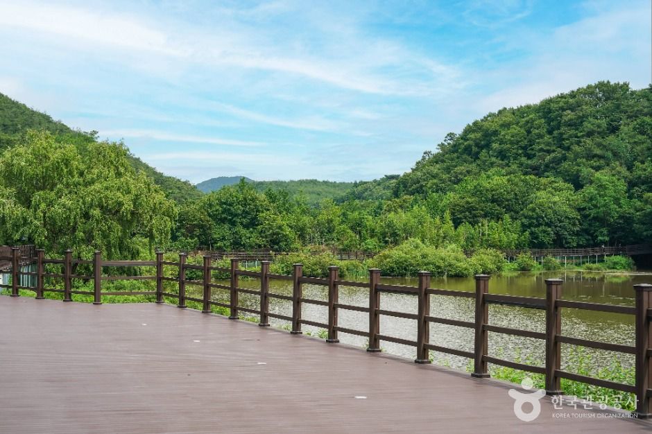 대구_창평지 친환경 생태공원 (3)