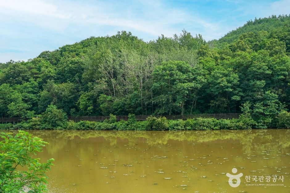 대구_창평지 친환경 생태공원 (4)