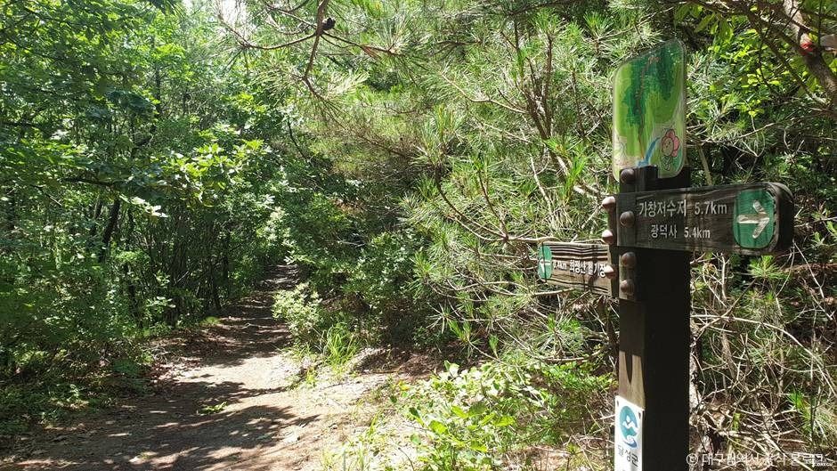 대구_최정산 (2)