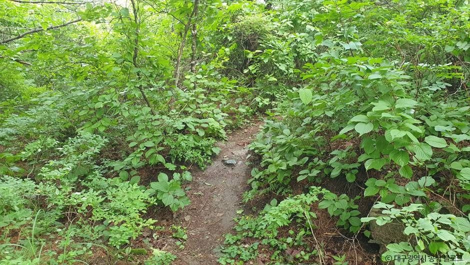 대구_최정산 (3)