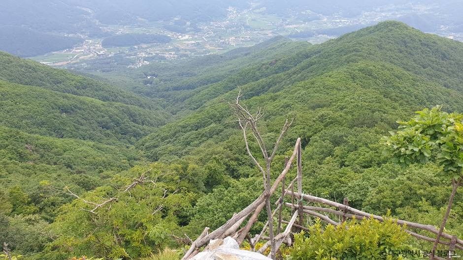 대구_최정산 (5)