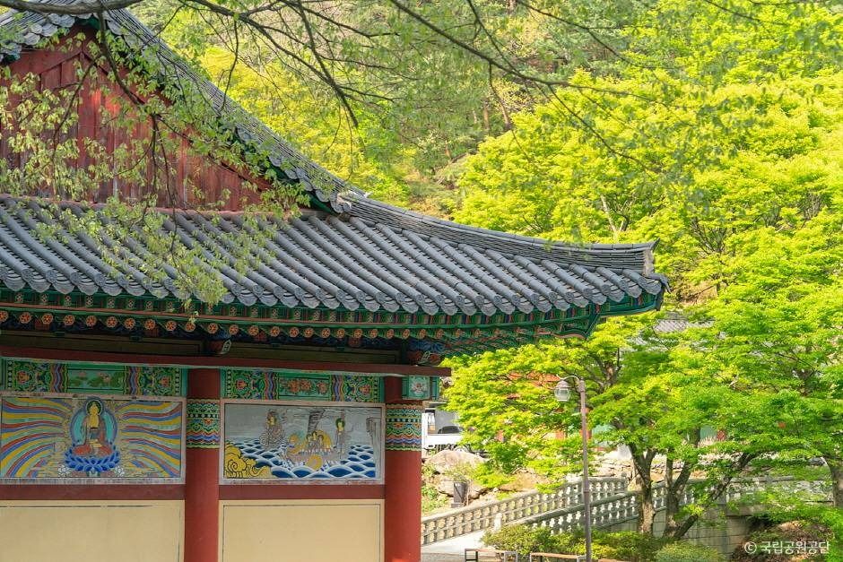 대구_파계사 (4)