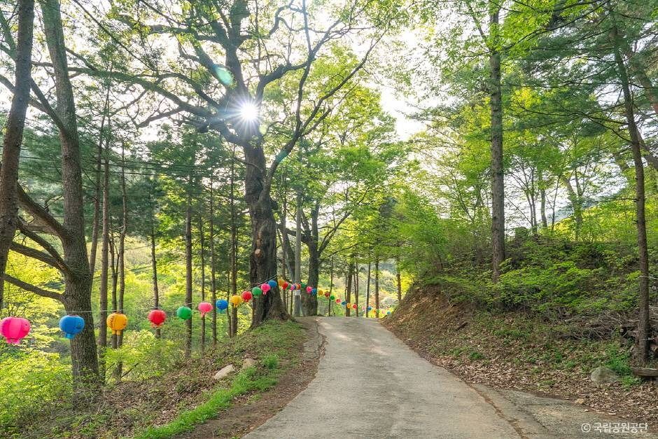 대구_파계사 (6)