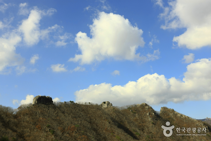 팔공산도립공원_4