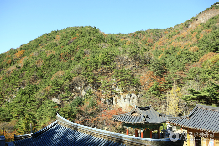 팔공산도립공원 관암사_13