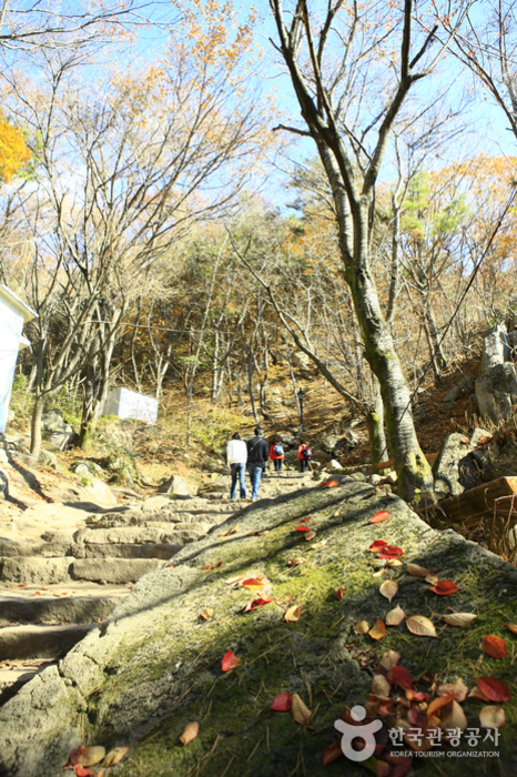 팔공산도립공원(등산로)_1