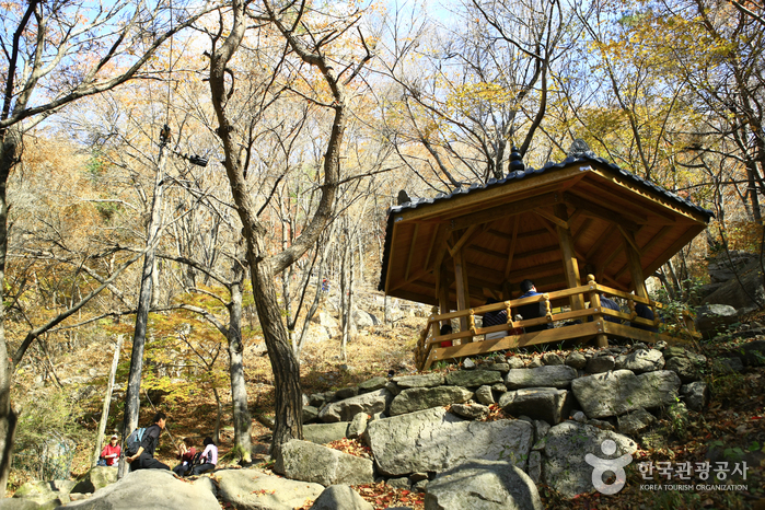 팔공산도립공원(등산로)_3