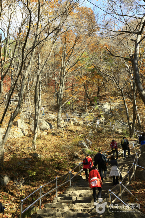 팔공산도립공원(등산로)_4