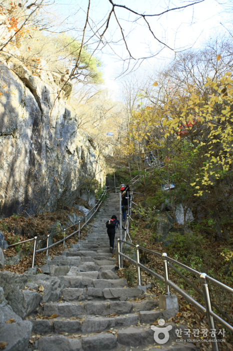팔공산도립공원(등산로)_5