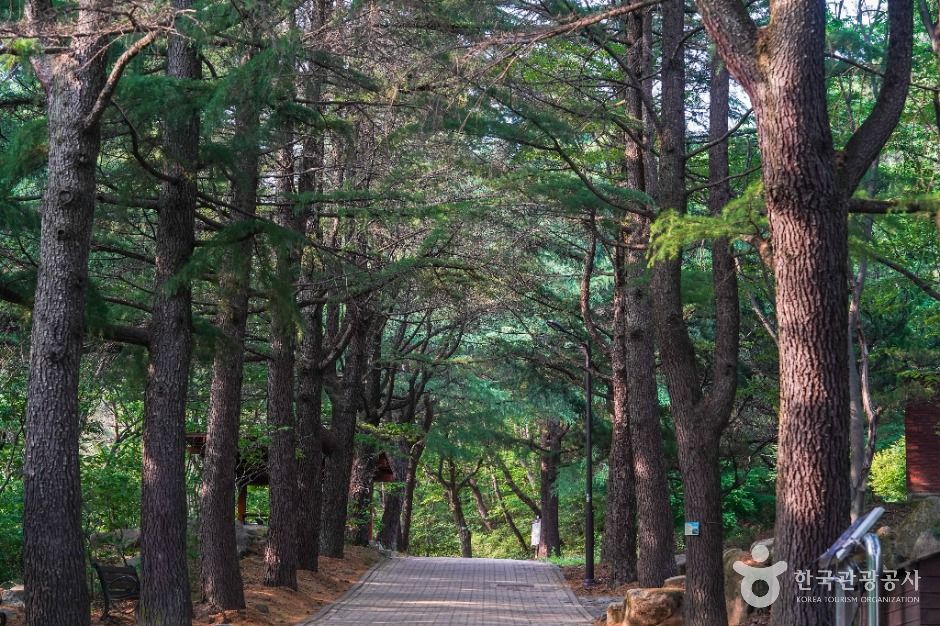대구_팔공산국립공원(동화사지구) (2)