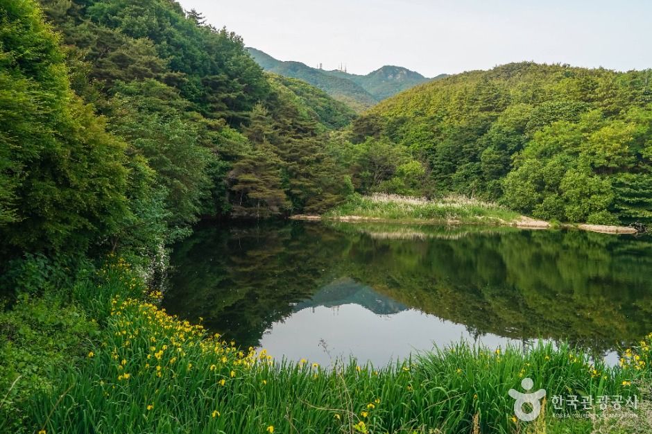 대구_팔공산국립공원(동화사지구) (3)