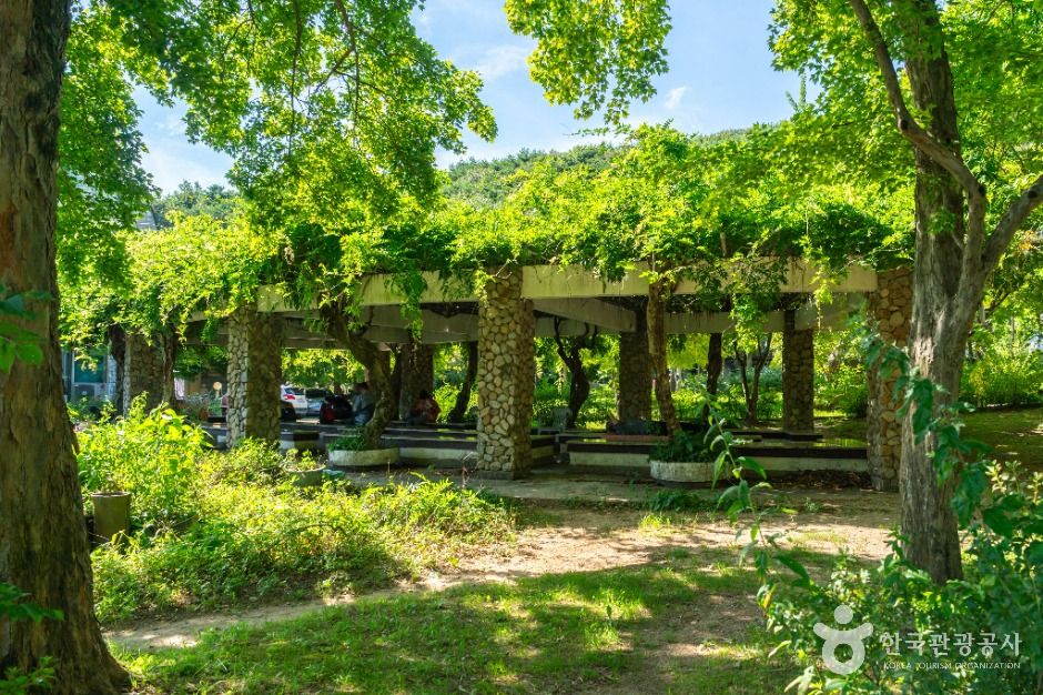 대구_팔공산분수광장 (4)