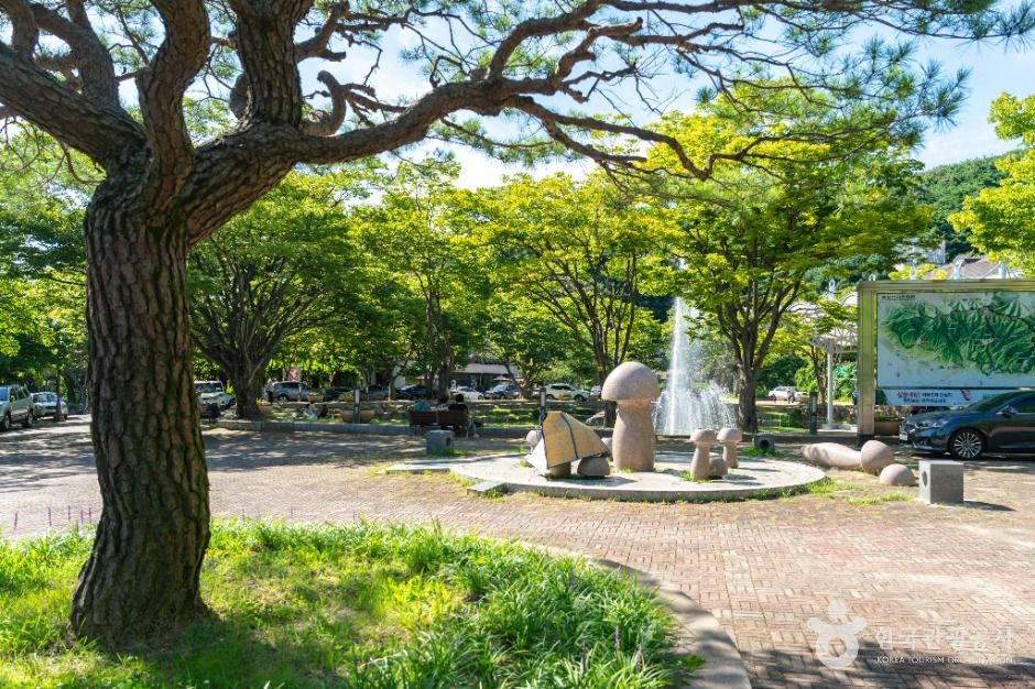 대구_팔공산분수광장 (5)