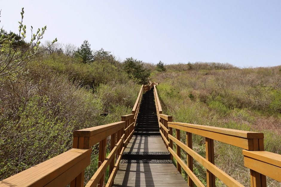 대구_팔공산하늘정원 (2)