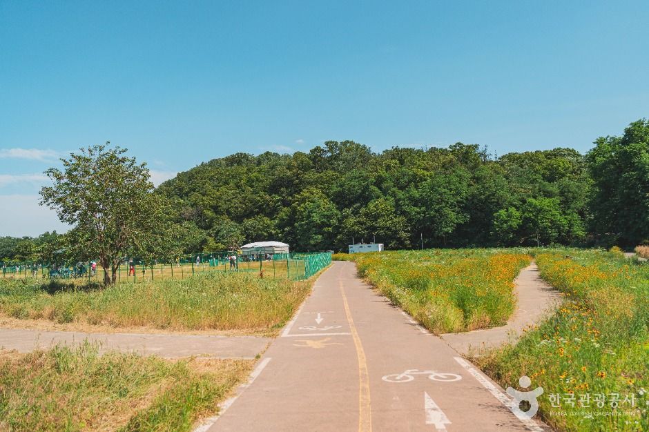 대구_팔현생태공원 (3)