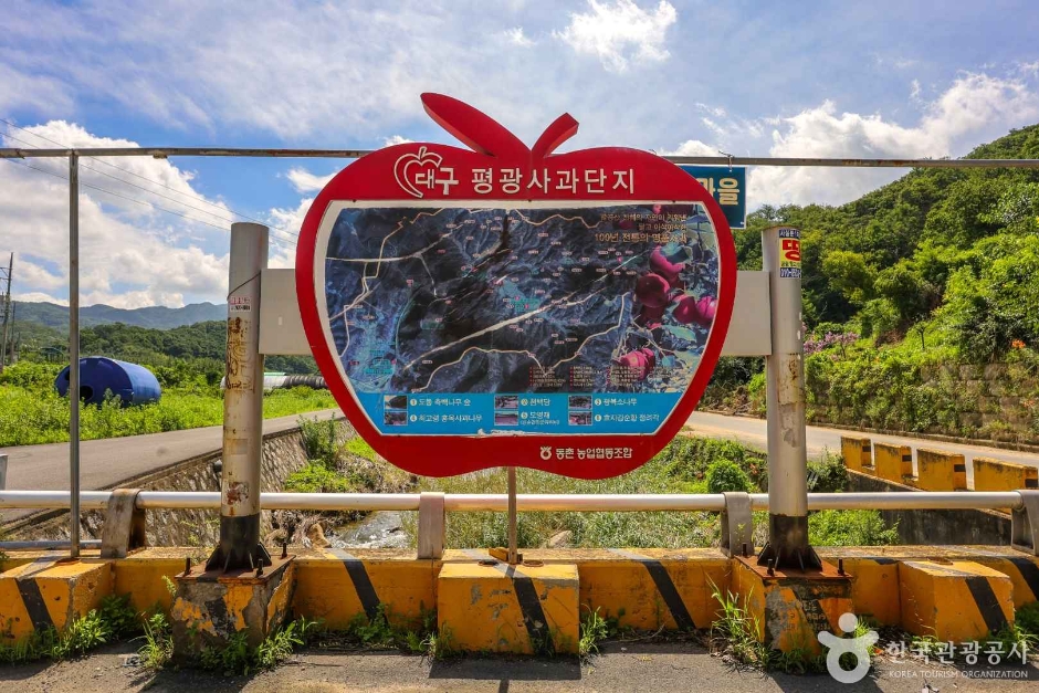 평광동 사과마을 (2)