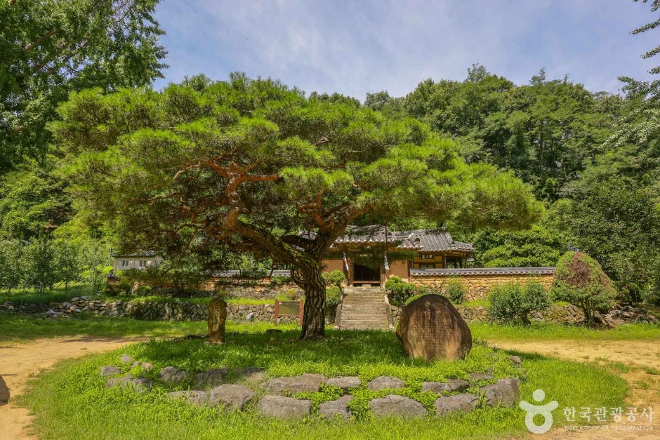 평광동 사과마을 (4)