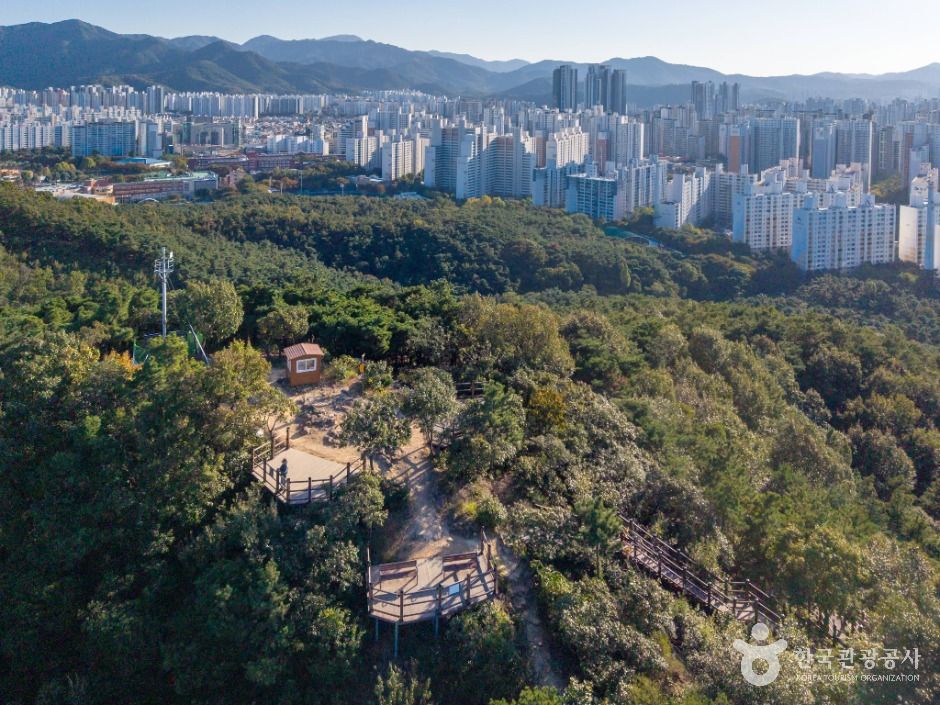 대구_학산공원 (5)