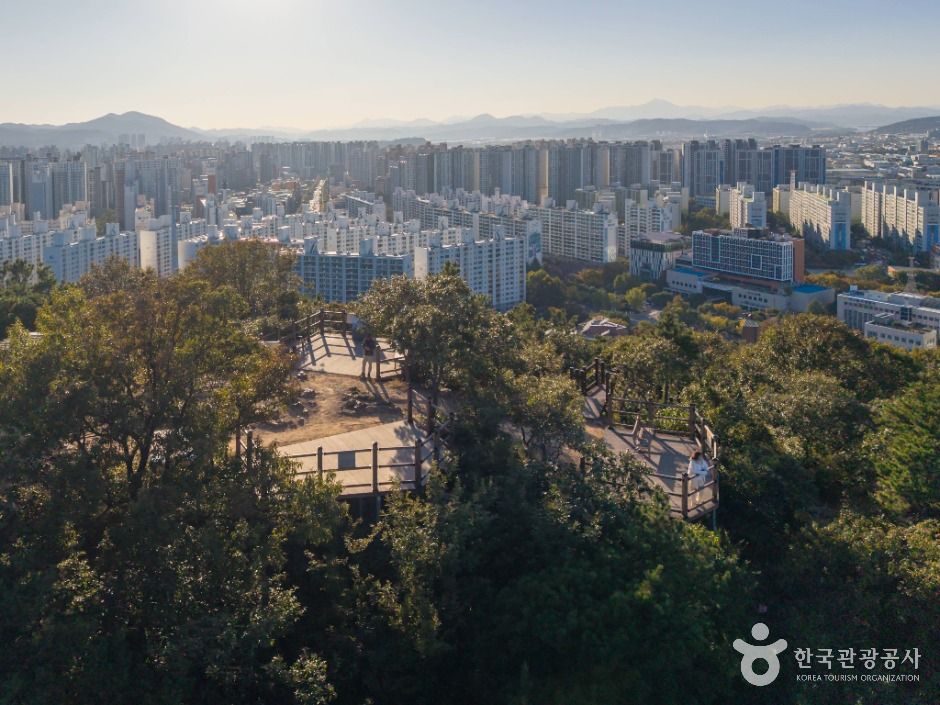 대구_학산공원 (6)