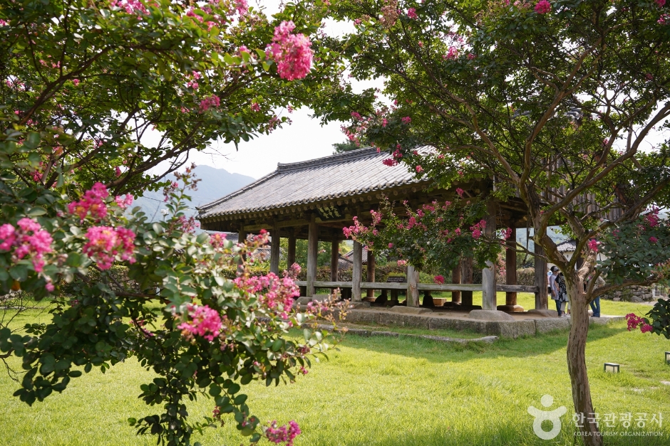 한밤마을돌담길 (8)