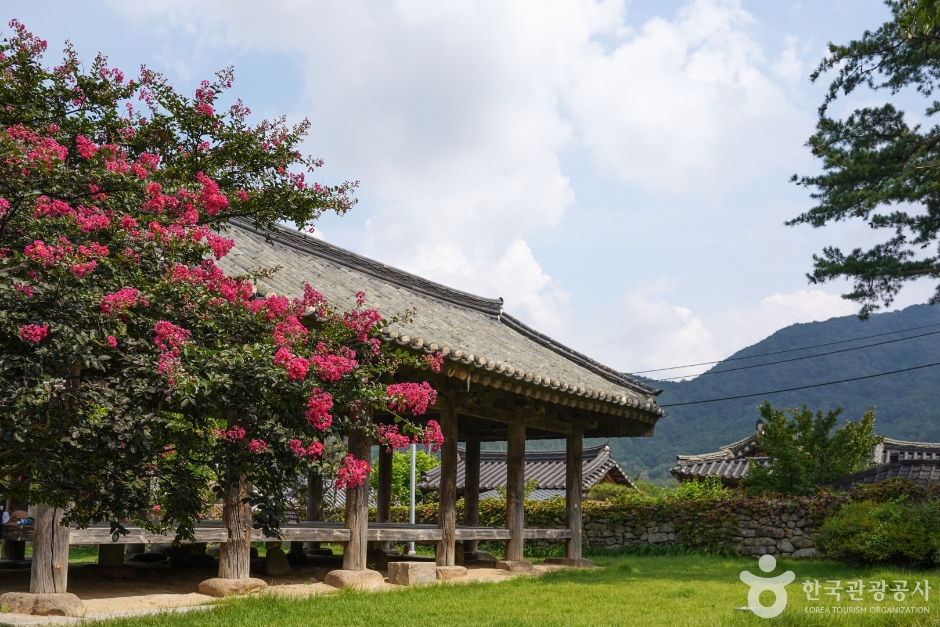 한밤마을돌담길 (9)