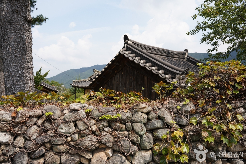 한밤마을돌담길 (10)