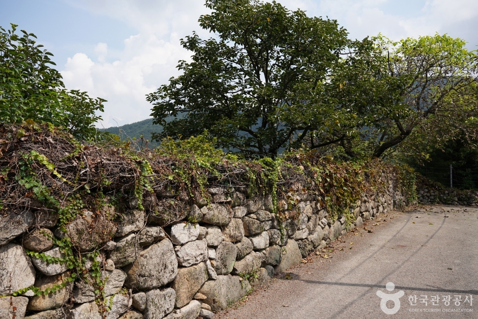 한밤마을돌담길 (11)