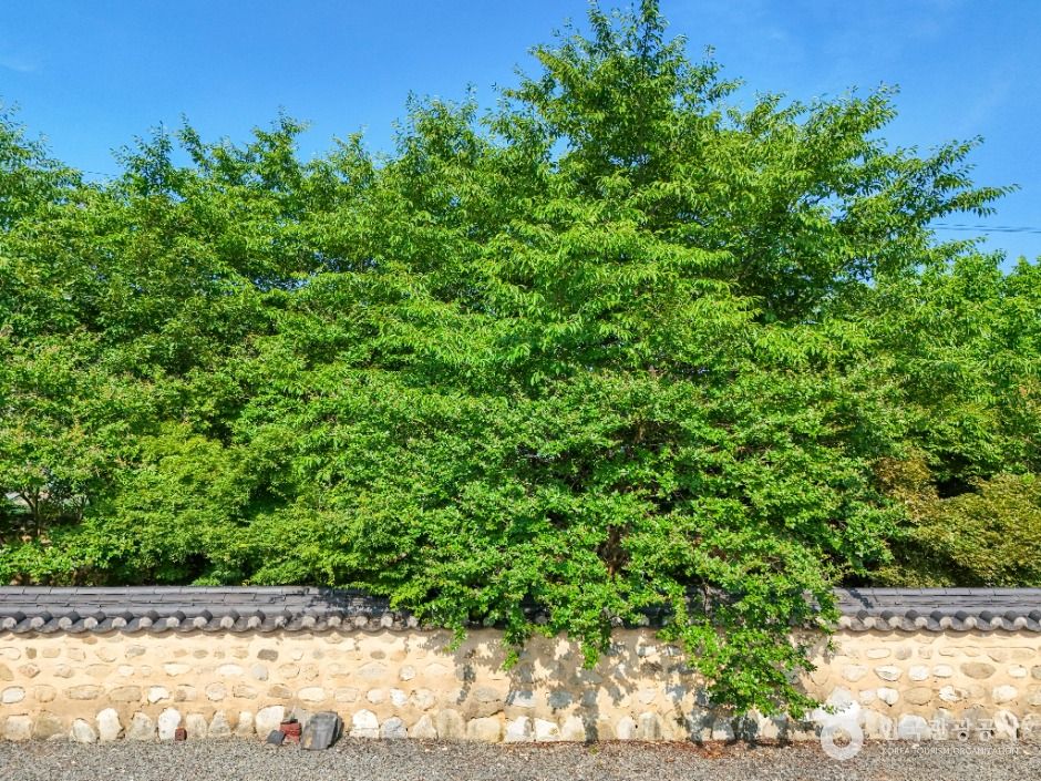 대구_한천서원 (7)