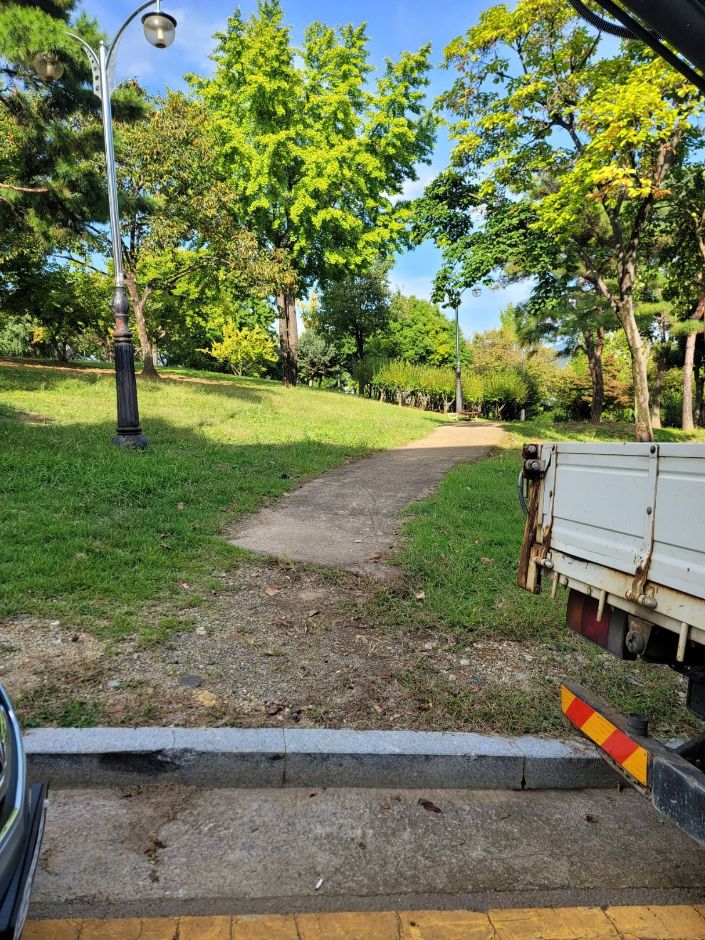 해맞이공원_진입로2