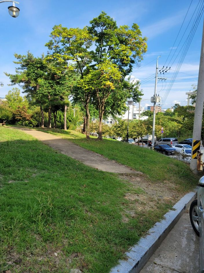 해맞이공원_진입로3