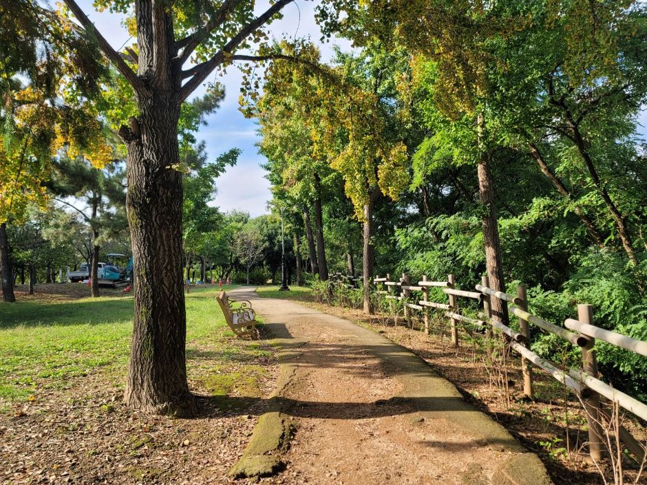 해맞이공원_산책로